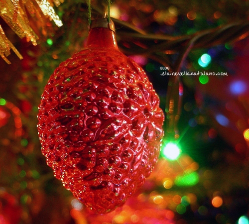 Christmas photography
