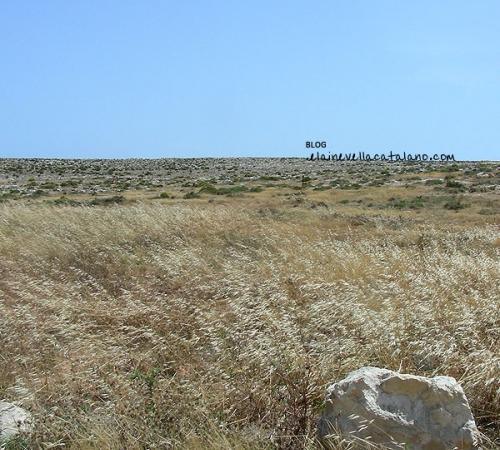 Landscapes
