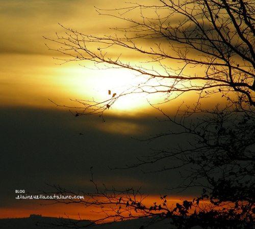 Sunset photos