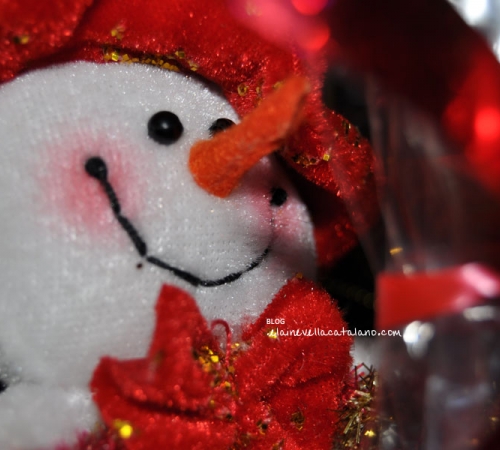 Christmas photography
