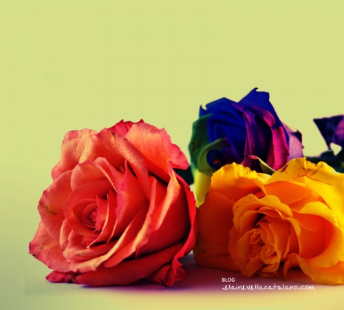 Flower photos