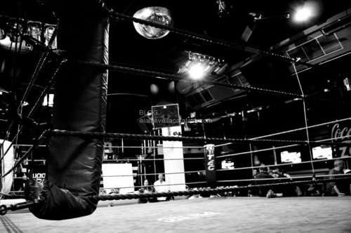 Boxing photography