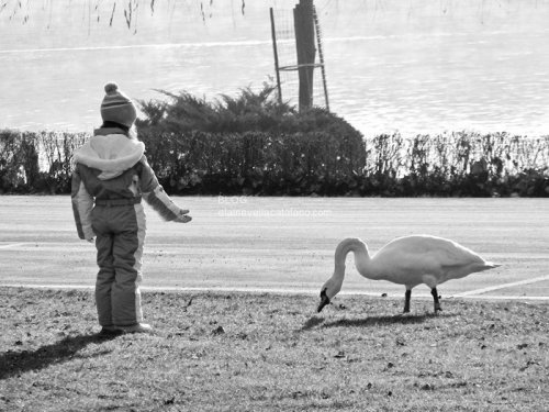 Child Photography
