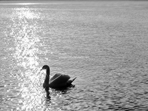 Waterscape photos