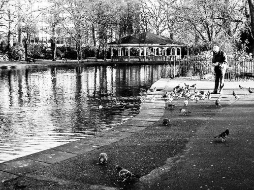 Street photography