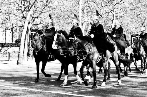 Street event photography