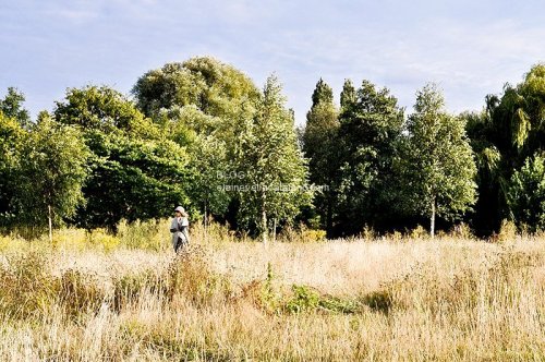 Countryside photos