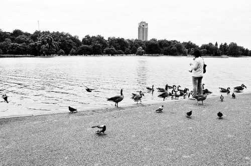 Street photography