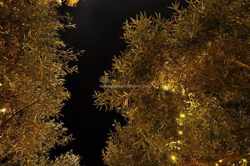 Night photography
