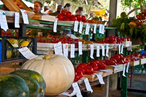 Outdoor market photos