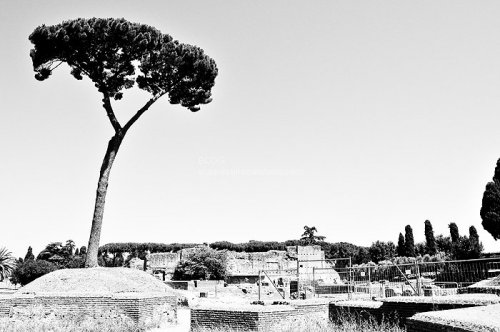 Landscape photography