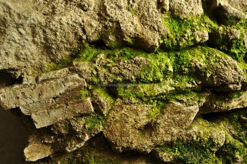 Wall texture photos