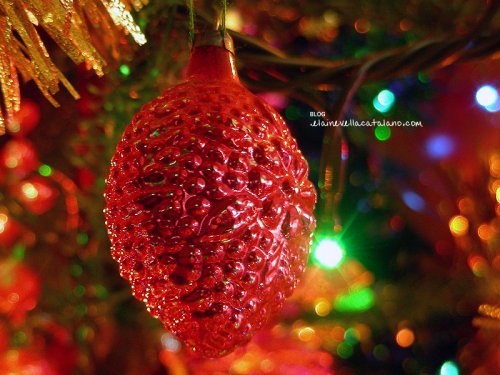 Christmas photography