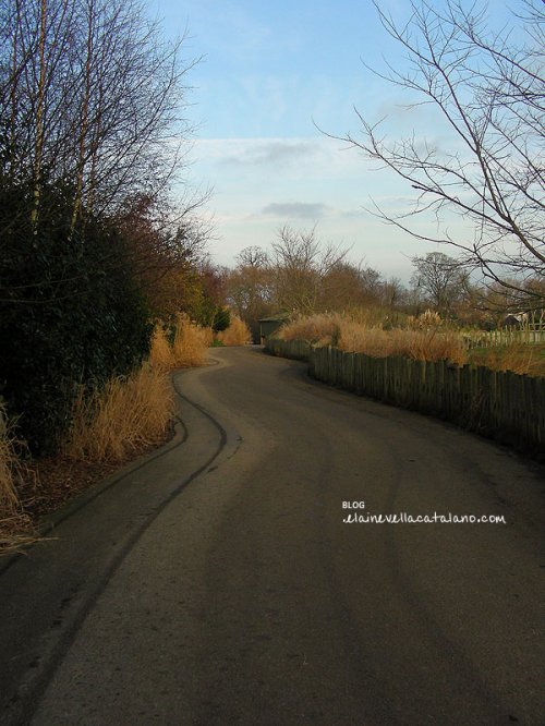 Landscapes