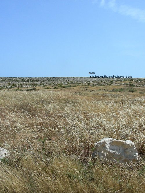 Landscapes