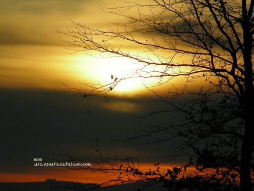 Sunset photos