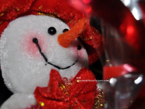 Christmas photography