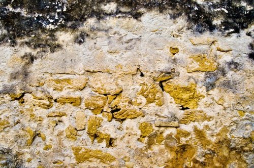 Free Texture Photos