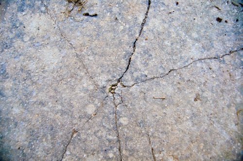 Free Texture Photos