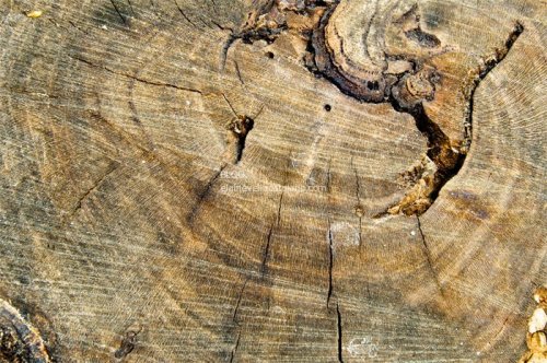 Free Texture Photos