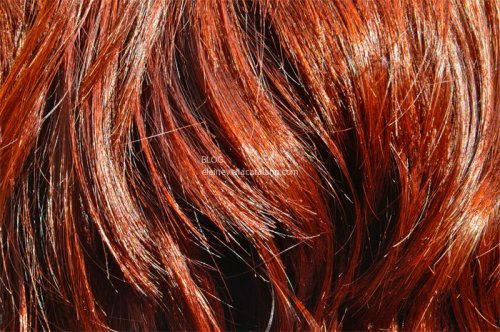 Free Texture Photos