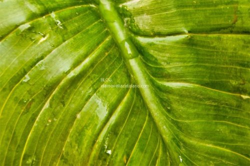 Free Texture Photos