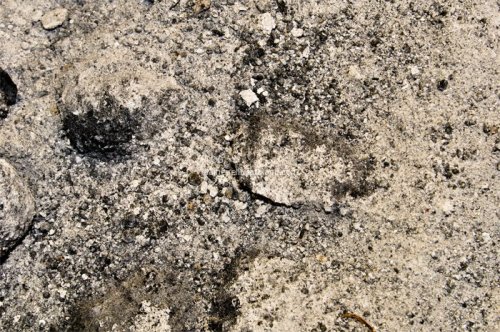 Free Texture Photos
