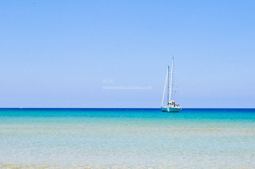 Beach photos