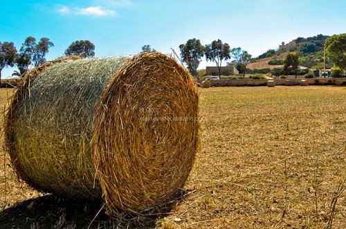 Nature photography
