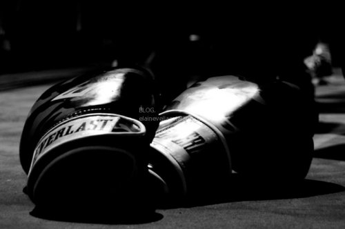 Boxing Photos